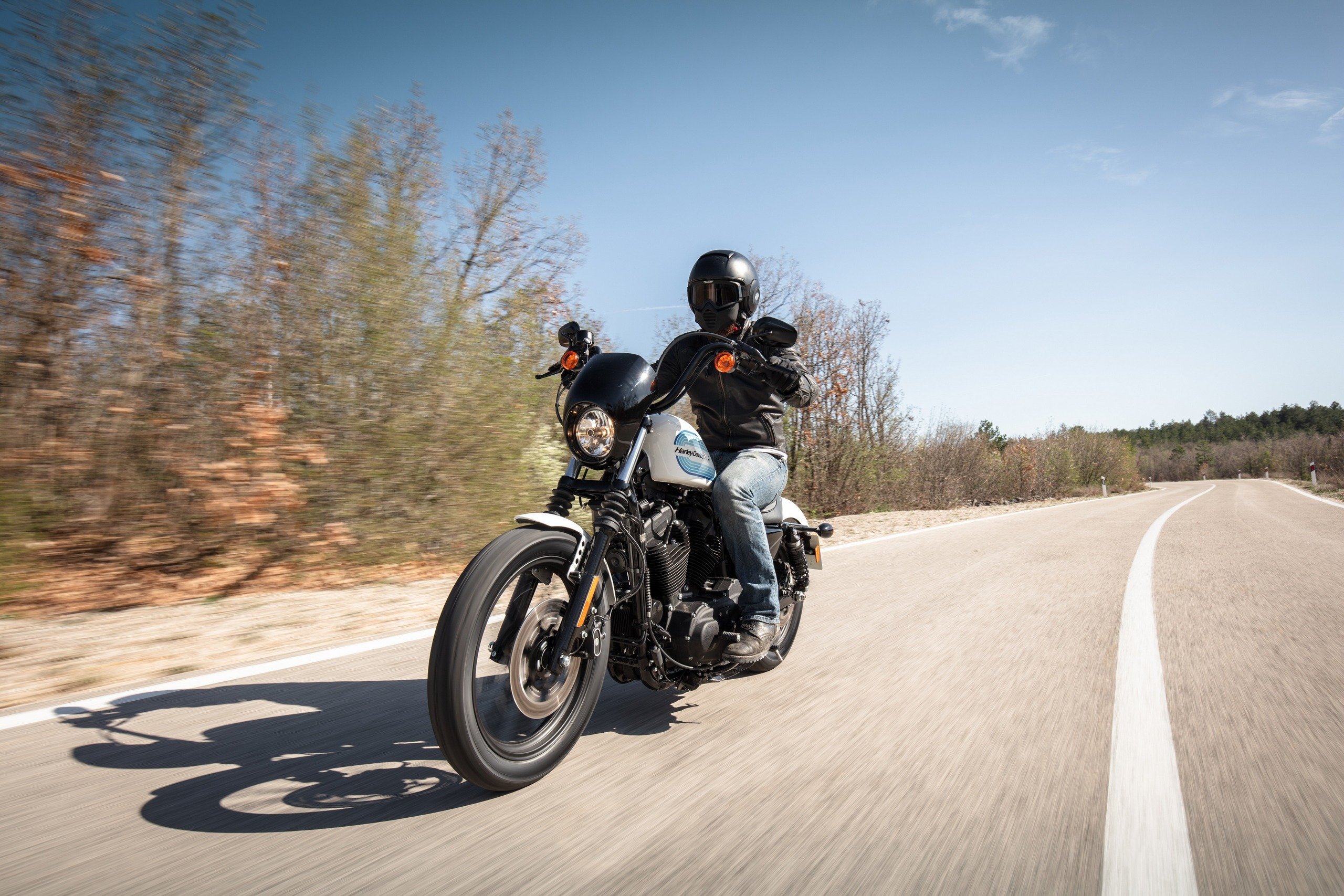 Harley-Davidson Sportster Fer 1200