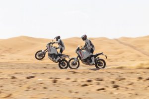 Ducati DesertX 2022 (2)