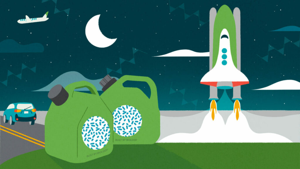Le biocarburant du futur à base de bactéries est encore meilleur que le kérosène