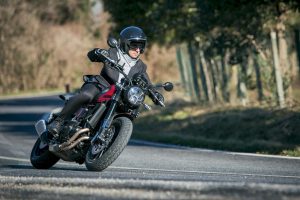 BENELLI LEONCINO BENELLI LEONCINO