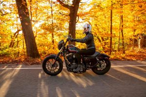 Harley-Davidson XL 1200 NS Sportster Fer 1200 2021
