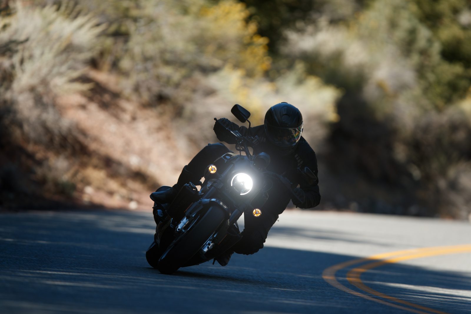 Harley Davidson Bronx