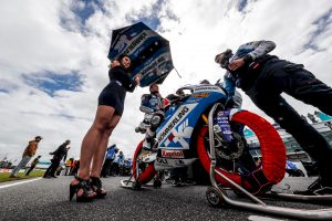 Paddock Girls Australie 2019 Paddock Girls Australie 2019
