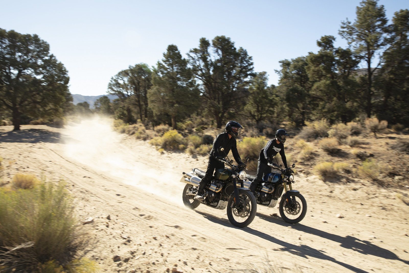 Triumph Scrambler 1200 XC