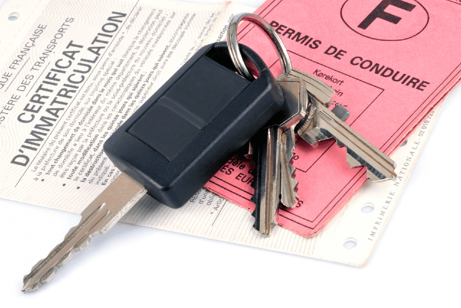 permis et carte grise