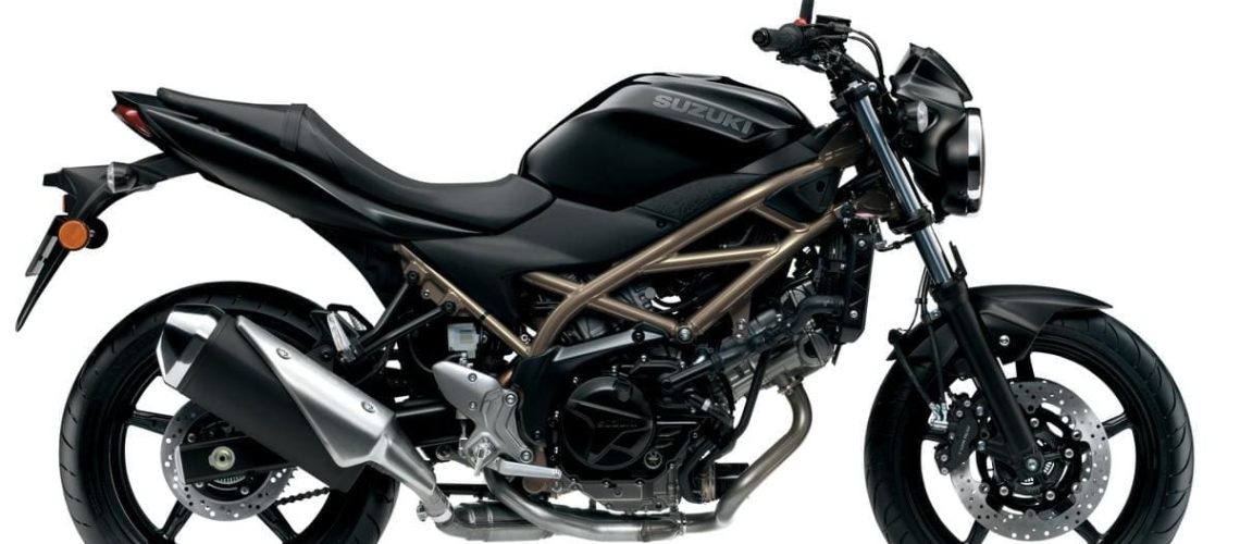 Suzuki-SV650-2021-1.jpg