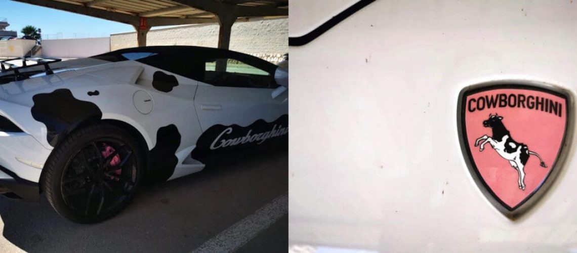 cowborghini-lamborghini.jpg