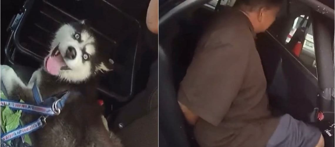 lascia-cane-chiuso-auto.jpg